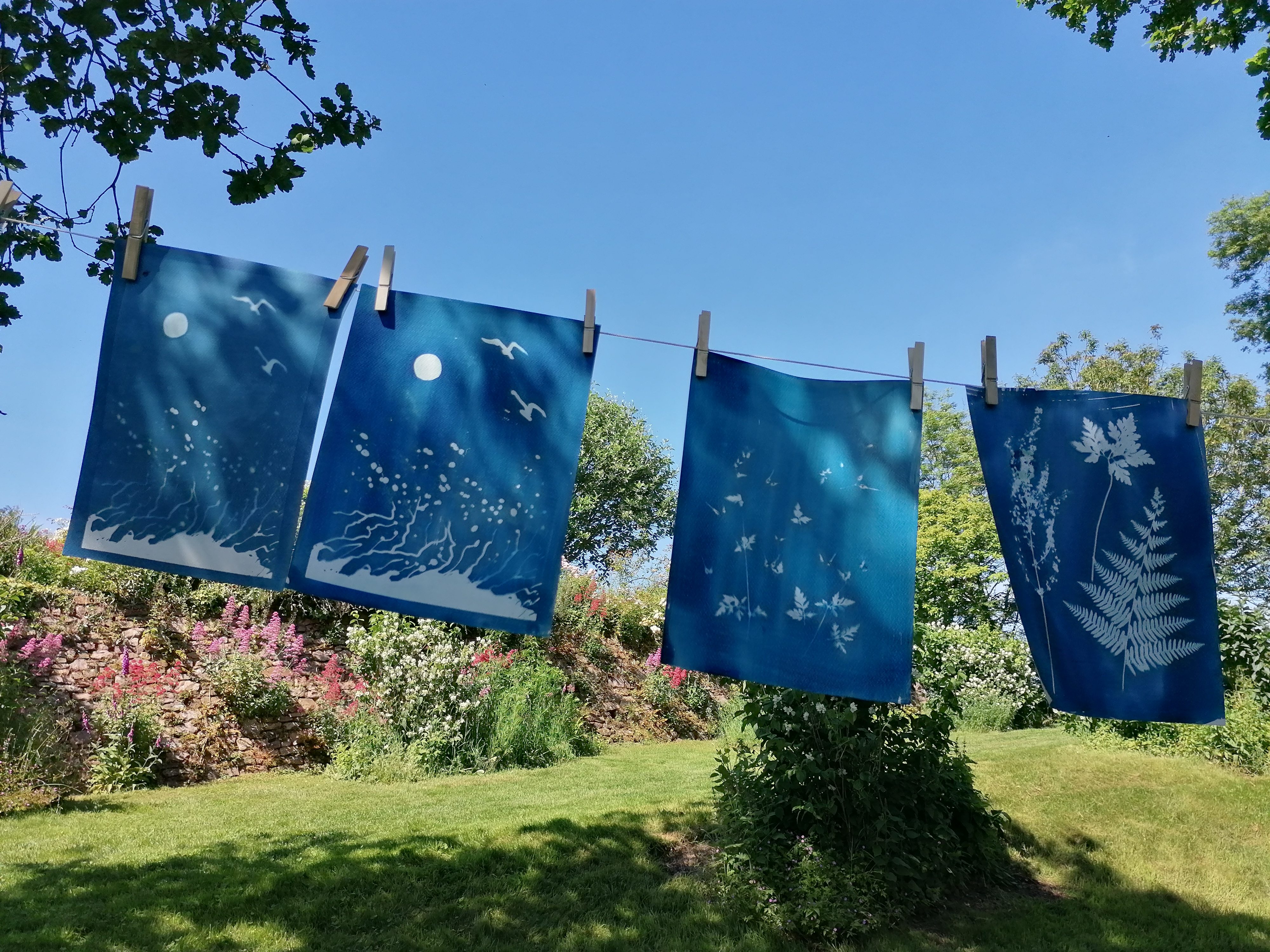 Cette image représente l'atelier cyanotype