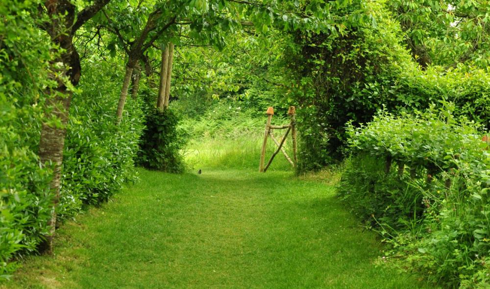 Le chemin enherbé dans les jardins clos