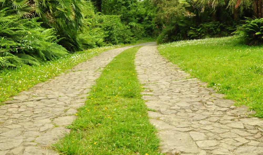 L'accès à la Palmeraie se fait par un chemin en pente rocailleux puis de pierres