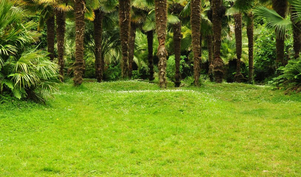 La Palmeraie est un espace en pente et glissant