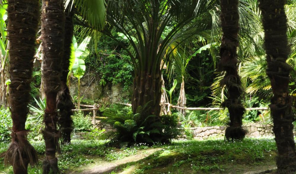 La Palmeraie est un espace en pente et glissant