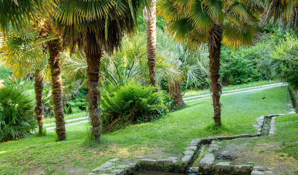 La Palmeraie est un espace en pente et glissant